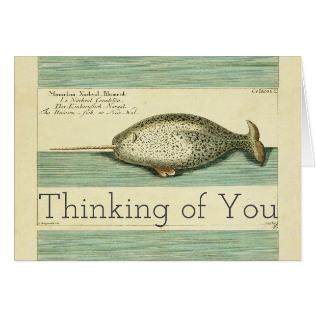 Cartão Arte Científica Narral Antiquada Por Cores De Bale (Frente Horizontal)