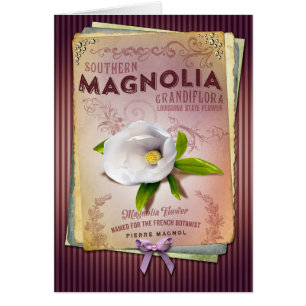 Cartão Arte da flor da magnólia de Louisiana da coleçã