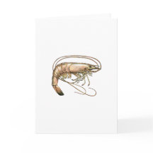 Arte de Camarão-Sul