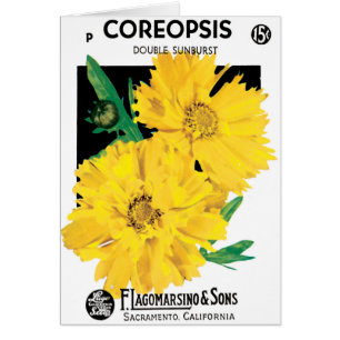 Cartão Arte de Pacote de Sementes Antigas, Flores de Core