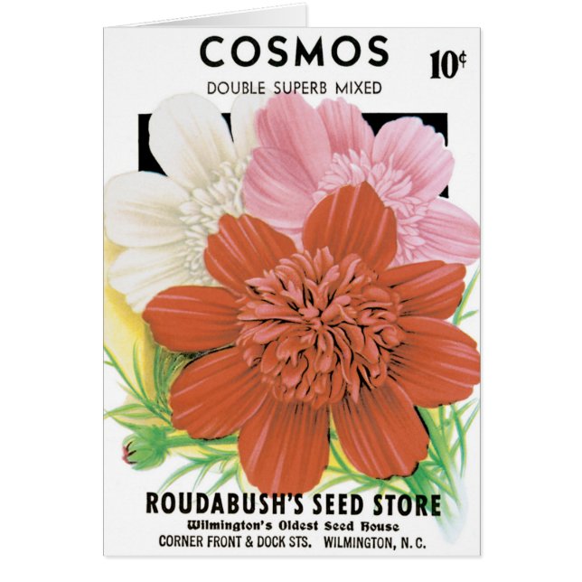 Cartão Arte de Pacote de Sementes Antigas, Flores de Jard (Frente)