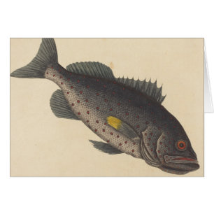 Cartão Arte de Pesca Vintage