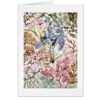 Cartão Arte de Tecido de Seda de algas