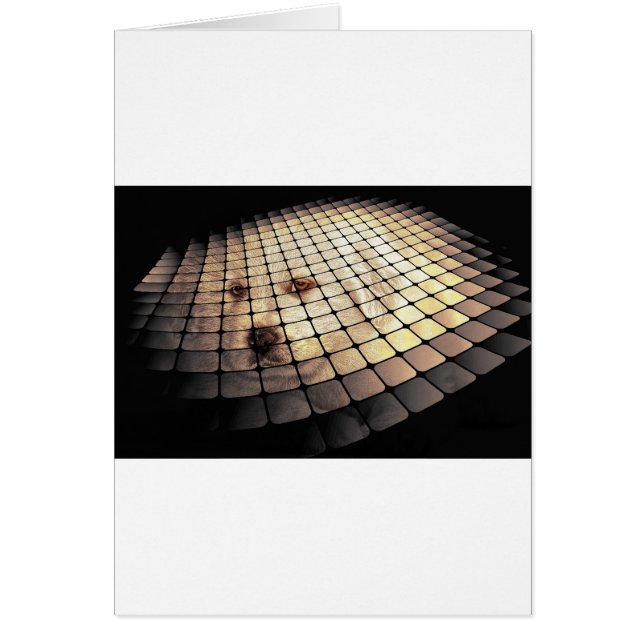 Cartão Arte Digital legal (Frente)