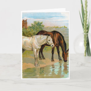 Cartão Arte Vintage - Cavalos no Pond,
