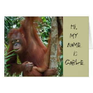 Cartão Artistas animais