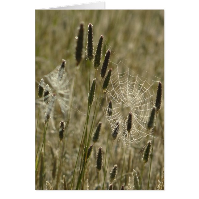 Cartão Artistas da Natureza (Frente)