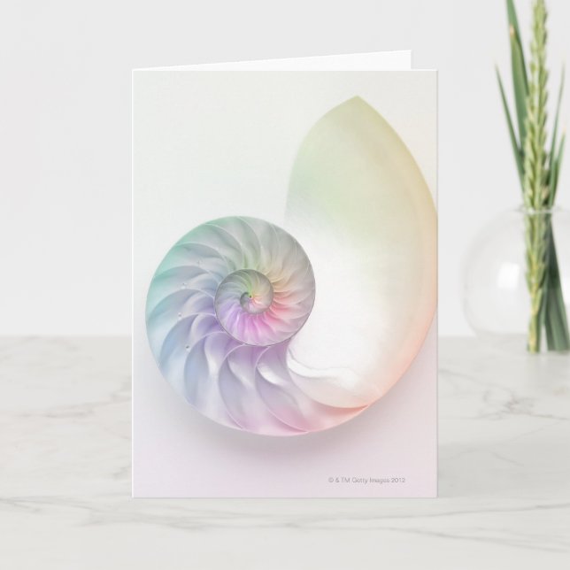 Cartão Artistic colored nautilus image (Frente)