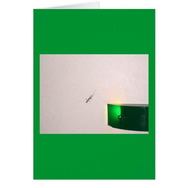 Cartão Aruba Gecko (Frente)