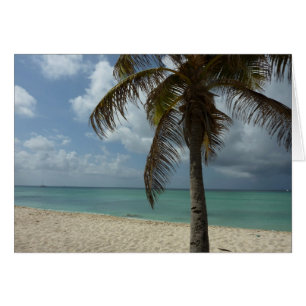 Cartão Aruban Beach I Linda cena natural