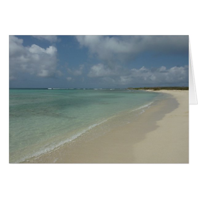 Cartão Aruban Beach II Linda cena natural (Frente Horizontal)