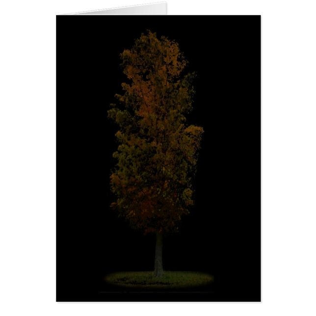 Cartão Árvore (Frente)