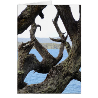 Cartão Árvore