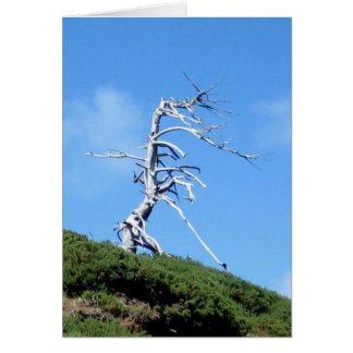 Cartão árvore alienígena