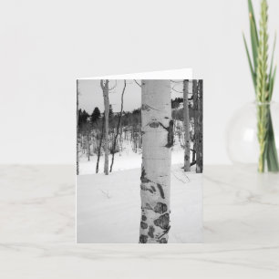 Cartão Árvore Aspen do Colorado