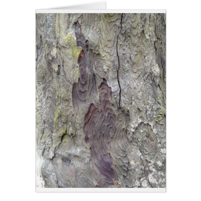 Cartão Árvore bonita (Frente)