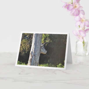 Cartão Árvore Bull em Valência, Espanha, espanhol