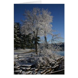 Cartão Árvore congelada