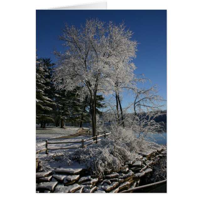 Cartão Árvore congelada (Frente)