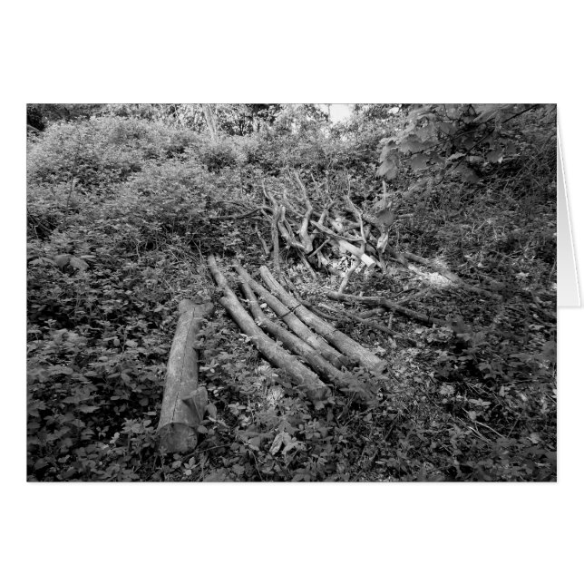 Cartão Árvore Cortada (Frente Horizontal)