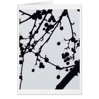 Cartão Árvore da baga contra o céu