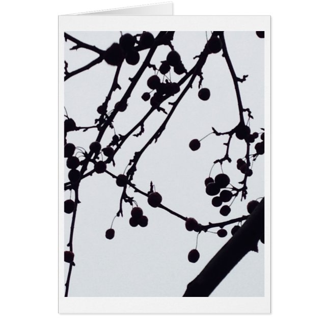 Cartão Árvore da baga contra o céu (Frente)