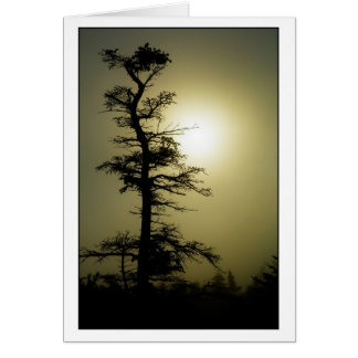 Cartão Árvore da cimeira