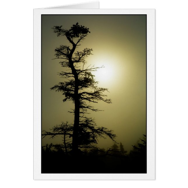 Cartão Árvore da cimeira (Frente)