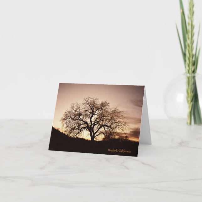 Cartão Árvore da Vida... (Frente)