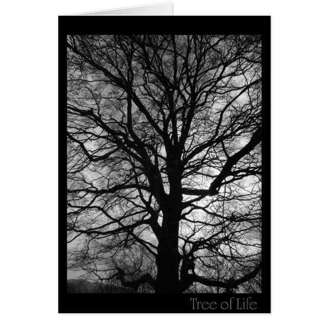 Cartão Árvore da Vida - não apenas para abraços de árvore (Frente)