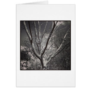 Cartão Árvore de adorno Sun