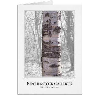 Cartão Árvore de Birch