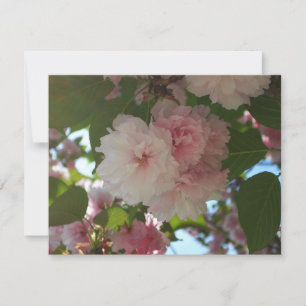 Cartão Árvore de cereja I Primavera Floral com duas flor