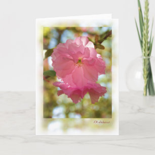 Cartão Árvore de cereja (Kwanzan)