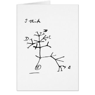 Cartão Árvore de Darwin