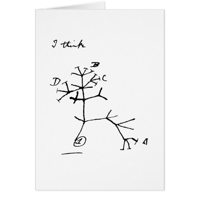 Cartão Árvore de Darwin (Frente)