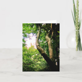 Cartão Árvore de enrolamento