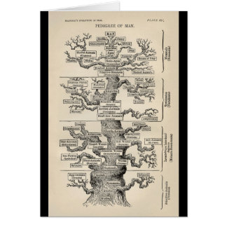Cartão Árvore de Ernst Haeckel a "de vida "