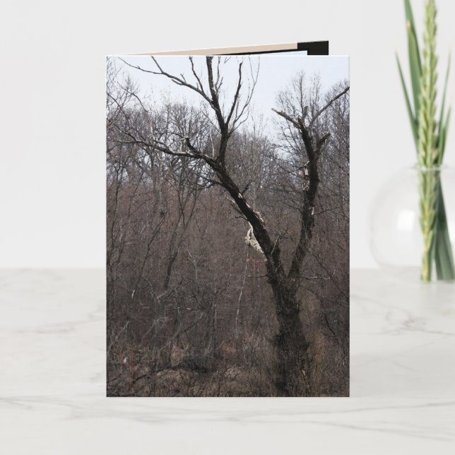 Cartão Árvore de Malificent (Frente)