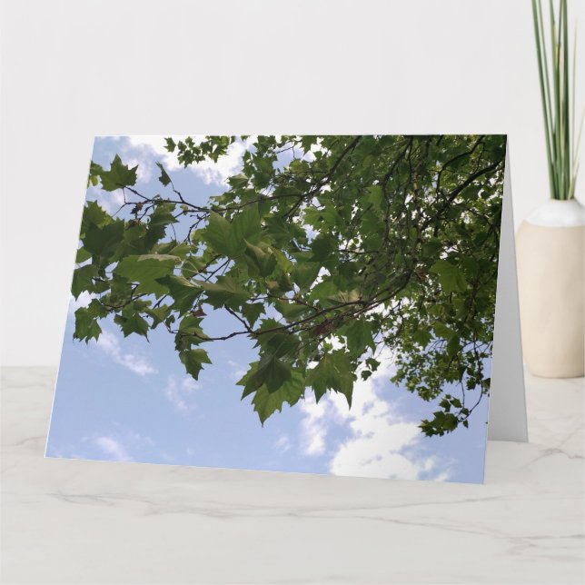 Cartão Árvore de mapeamento (Frente)