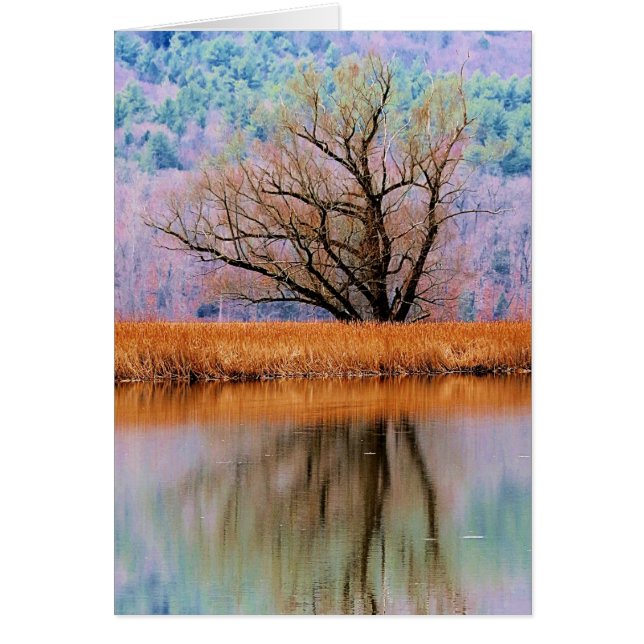 Cartão Árvore de transição (Frente)