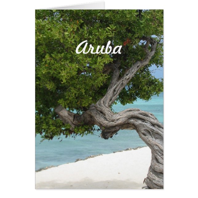 Cartão Árvore Divi em Aruba (Frente)