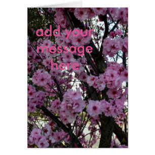 Cartão Árvore do Flor de Primavera rosa,