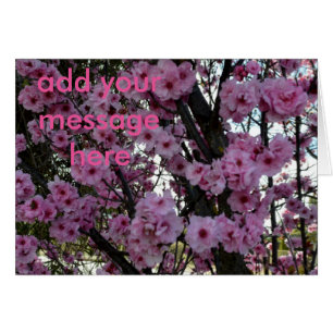 Cartão Árvore do Flor de Primavera rosa,
