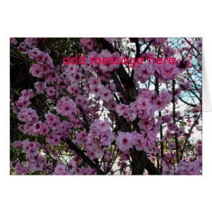 Cartão Árvore do Flor de Primavera rosa,