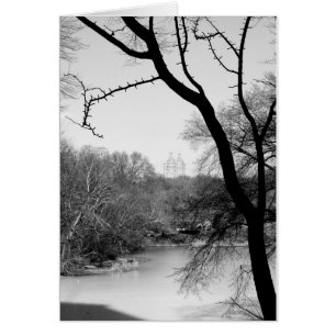 Cartão Árvore do inverno - Central Park NYC
