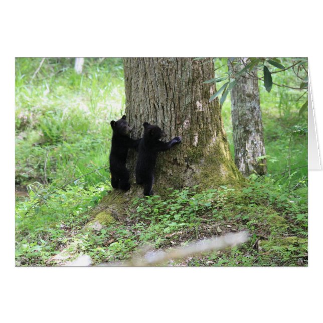 Cartão Árvore Huggers (Frente Horizontal)