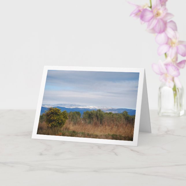 Cartão Árvore Laranja Mandarin e Montanhas Snowy (Orquídea)