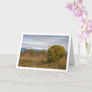 Cartão Árvore Laranja Mandarina e Montanhas Snowy