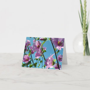 Cartão Árvore Mallow (Lavatera arborea)